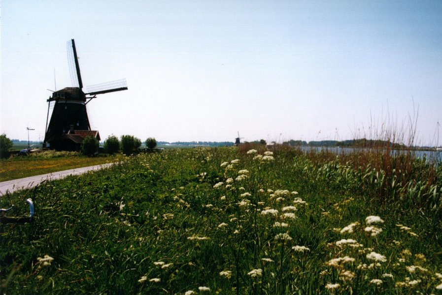 2001 05 24 molen 2